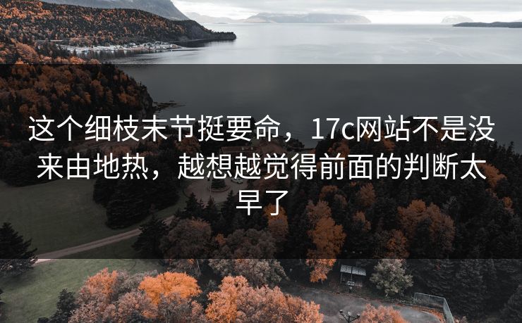 这个细枝末节挺要命，17c网站不是没来由地热，越想越觉得前面的判断太早了