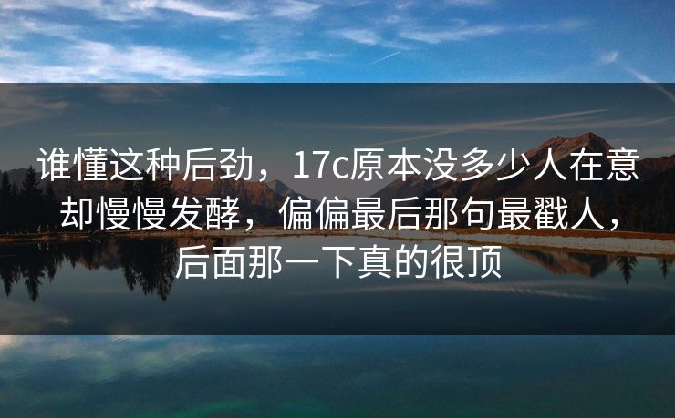 谁懂这种后劲，17c原本没多少人在意却慢慢发酵，偏偏最后那句最戳人，后面那一下真的很顶