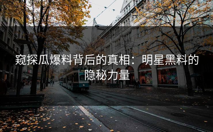 窥探瓜爆料背后的真相：明星黑料的隐秘力量