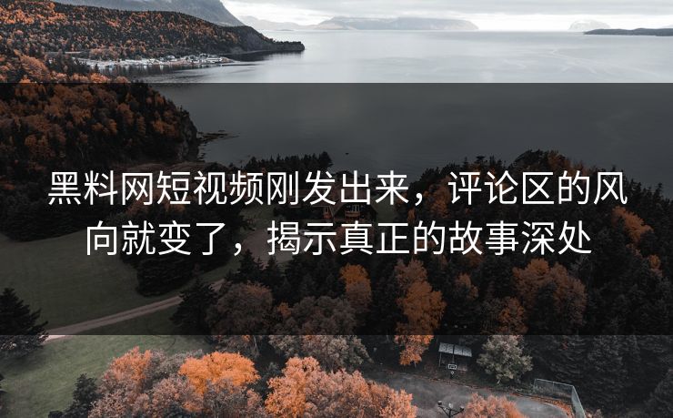 黑料网短视频刚发出来,评论区的风向就变了,揭示真正的故事深处 黑料网短视频刚发出来,评论区的风向就变了,揭示真正的故事深处