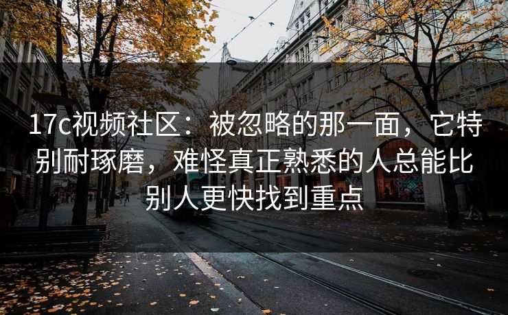 <strong>17C</strong>视频社区：被忽略的那一面，它特别耐琢磨，难怪真正熟悉的人总能比别人更快找到重点