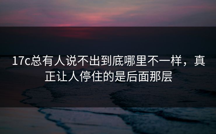 <strong>17C</strong>总有人说不出到底哪里不一样，真正让人停住的是后面那层